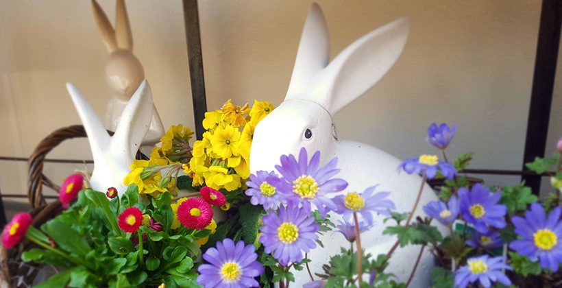 Osterhase im Blütenbusch